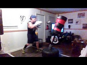 Everlast Omni flex freestanding punching bag link in description.