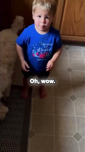 Hoverboard Fail:When 'Big Boy' Skills Go Wrong! 😂