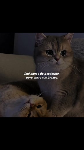MAR AZUL - NATANAEL CANO #lyrics_songs #natanaelcano #rolitas #pyp #videolyrics
