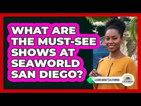 What Are the Must-See Shows at SeaWorld San Diego?