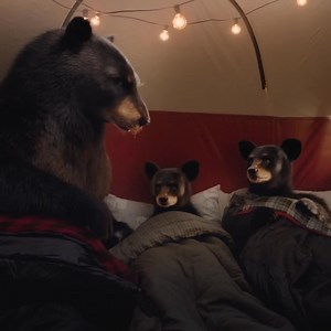 Find the right plan for your family with options from SCANA Energy. | SCANA Energy