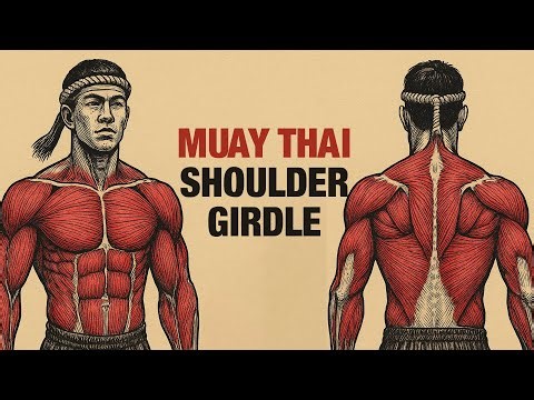Muay Thai shoulder girdle