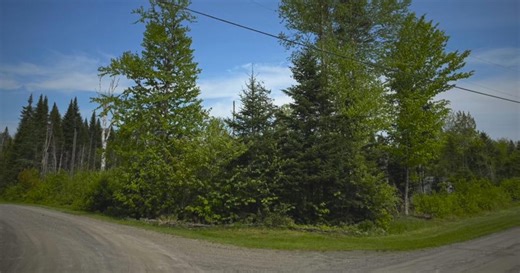 New Hampshire residents warned about property theft scam