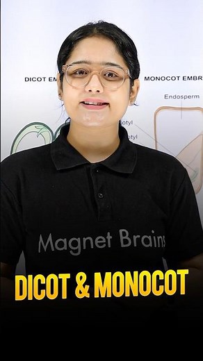 🤔Do You Know the Examples of Dicot & Monocot? #plantscience