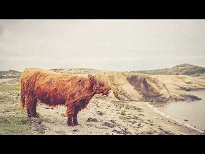 2025 Denver Broncos Depth Chart Breakdown