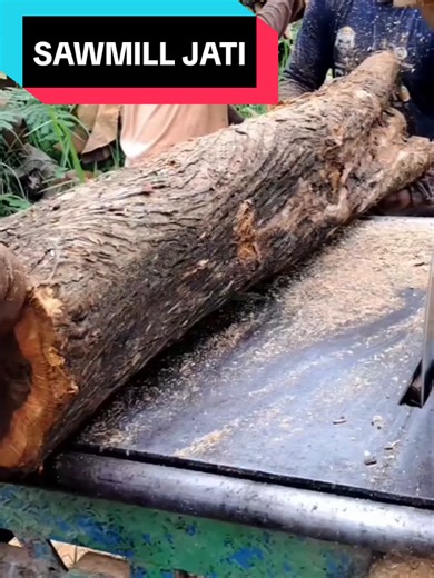 sawmill jati #sawmill #music #woodworking #amazing