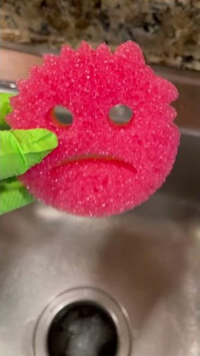 I Got A New Home For My Scrub Mommy #shorts