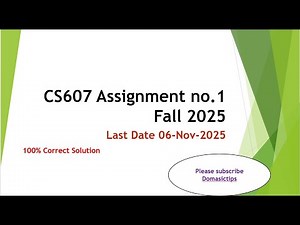 CS607 Assignment 1 Fall 2025