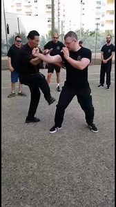 Wing Chun kicks . | Samuel Kwok