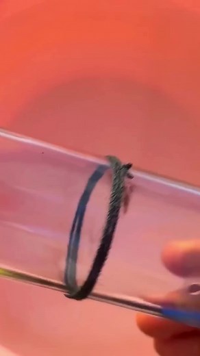 Virtue Awaits on Instagram: "Use this creative method to safely cut glass bottles perfectly in half! #diyhomedecor #diy #outdoordiy #gardendiy #diybuild #homegarden #howto #gardenideas #homedecorideas #diyproject #reels"