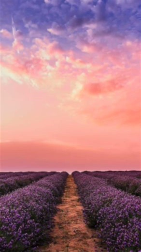 Springtime in the Meadow ASMR
