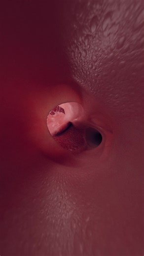 17M views · 57K reactions |  Journey Through the Heart: Spotlight on...