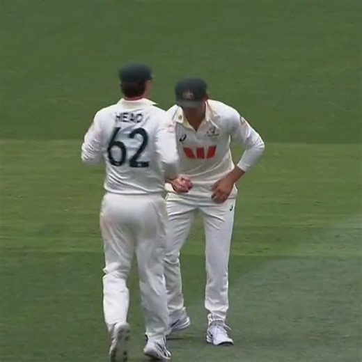 wait for Mitchell stark stunning caught #cricket #mitchellstarc