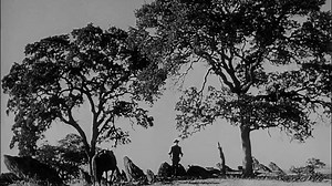 High Noon (1952) Gary Cooper, Grace Kelly, Thomas Mitchell