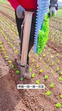 Easiest Farming Ever: Effortless Success, Hard Work Needed