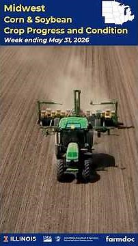 Midwest Crop Progress and Condition Breakdown | May 31, 2026 - Mobile Version