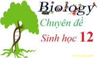 Cách giải bài tập xác suất trong di truyền quần thể - quần thể người.