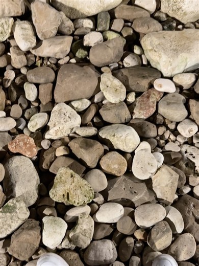 Chris Heria on Reels