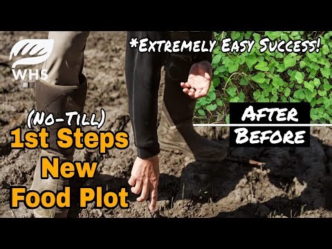 No Till Food Plot First Steps | From Dirt To Green