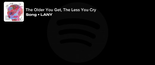 The Less You Cry as You Grow Older: LANY Lyrics