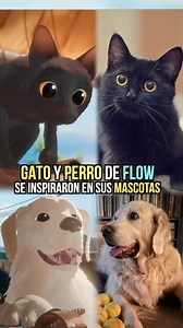 FLOW GANÓ EL OSCAR #oscars2025 #Flow #animacion #gato #perro #mascota #animation #robotsalvaje #thewildrobot #dreamworks #disney #insideout #cat #dog #intensamente2 | Angel Garay
