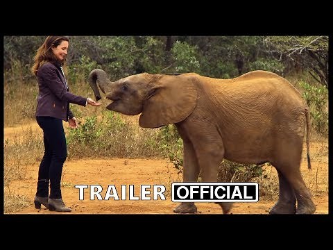 Holiday In The Wild Movie Trailer (2019) | Drama Movie
