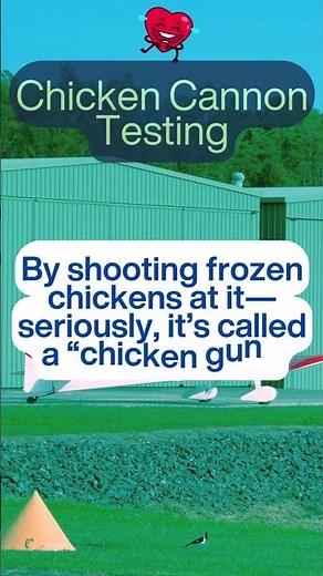 Chicken Cannon to Test Windshields! #aerospaceengineer #facts #aircraftengineer