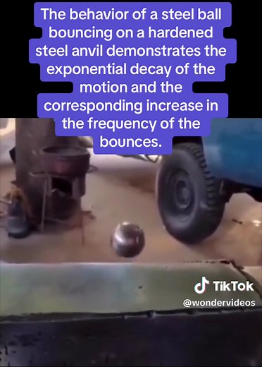 wondervideos on TikTok