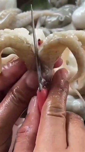 This is how to clean an octopus using a small sharp special tool