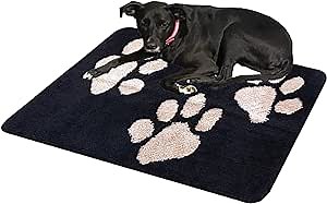 Door Mat - Indoor Entrance, Personalized Dog Mat, Funny Doormat, Entryway Rug, Super Absorbent, Non Slip, Machine Washable (23.6 * 35.4 inches, Black)