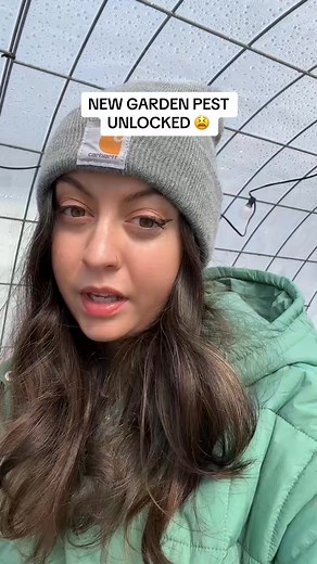 Ughhh these garden pests gotta go  #gardenpestcontrol #gardenpest #gardenpestprevention #gardenpests #jumpingworms #asianjumpingworms | thecottagepeach | Facebook