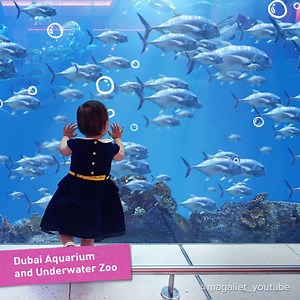 Stretching across 1.1 million sq/m, The Dubai Mall is the world's largest shopping, entertainment and leisure destination! #ExploreDubai http://bit.ly/2tHXYc9 | Visit Dubai