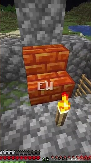 FULASTE Blocket I Minecraft #minecraft #gaming #shorts