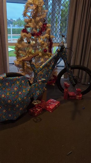 TUES Limited 2025: Ultimate Downhill Race Bike