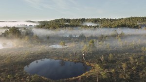 1.3K views · 121 reactions |  Would you like to drive a Soviet-era offroad car? Or would you prefer to go bog-shoeing? What about a canoe trip in the wetlands?  Autumn mornings offer gorgeous foggy sunrises in the wetlands and the nature is waiting to be explored. Come and see for yourself. https://www.visitestonia.com/en/why-estonia/autumn-break-in-estonia | Visit Estonia | Facebook