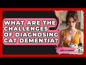 What Are The Challenges Of Diagnosing Cat Dementia? - Happy Cat Handbook