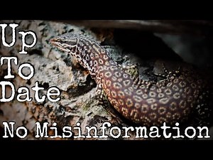 Ackie Monitor Care Guide 2020