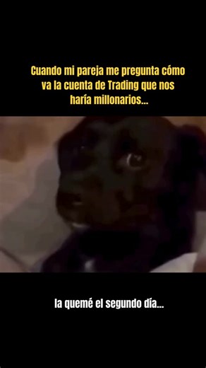 Javi Velayos on Instagram: "LA REALIDAD DEL TRADER NOVATO Unas risas... ¿Quién de nosotros no ha puesto esa cara de circunstancias después de liarla con una nueva cuenta de Fondeo? Estoy seguro que muchos y muchas os habéis sentido identificados... La vida del Trader!😂 #memes #meme #risas #humor #trading #mindset"