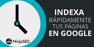 Aprende a indexar rápidamente tus páginas en Google — NinjaSEO