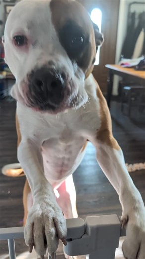 Mama tells them everyday! | Sun Cat