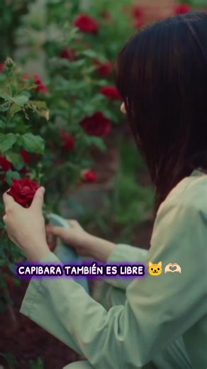 Capibara Libre en un Jardín de Flores Hermosas