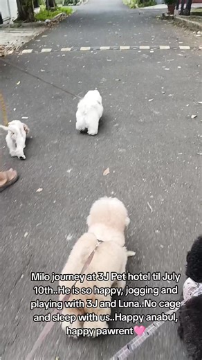 Daily Life Sonya on TikTok