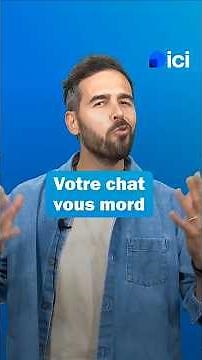Pourquoi mon chat me mord-il quand je le caresse ? 🤯 #Chat #Vétérinaire