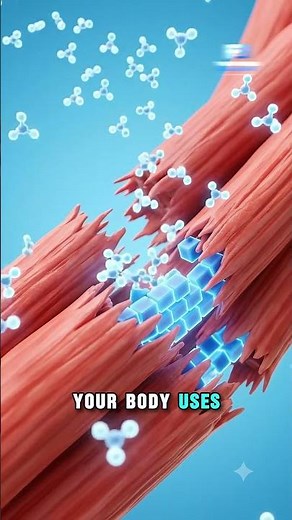 How Protein Builds Muscle Inside Your Body