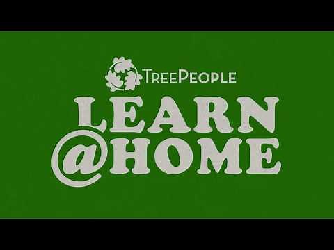 Learn At Home - DIY Aquifer