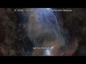 IC 4592: The Blue Horsehead Reflection Nebula | NASA APOD 2026-04-07