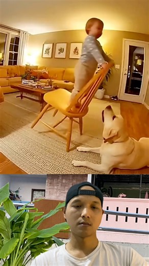 Moments when animals rescued humans 🐾💖 #shorts #song