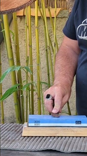 affûtage d'une gouge