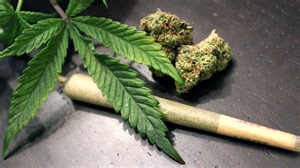 Ordinance would allow more cannabis dispensaries into downtown Chicago