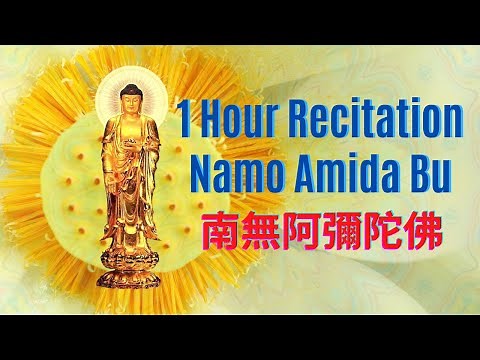 Nembutsu 念佛 No.16 | Namo Amida Bu Chanting | 1 Hour Special | 南無阿彌陀佛 | Shin Buddhism